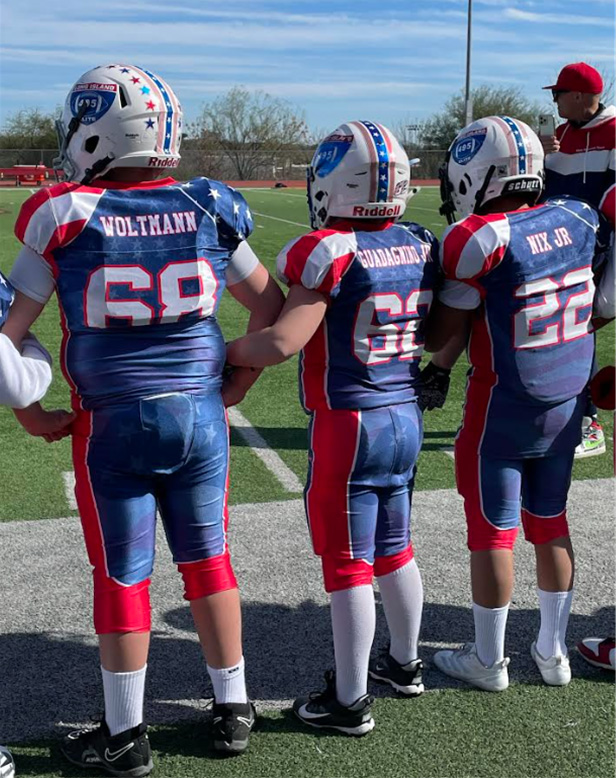 Professional Academy